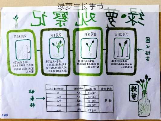 绿萝生长季节