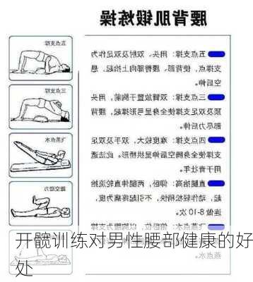 开髋训练对男性腰部健康的好处