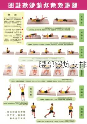 腰部锻炼安排