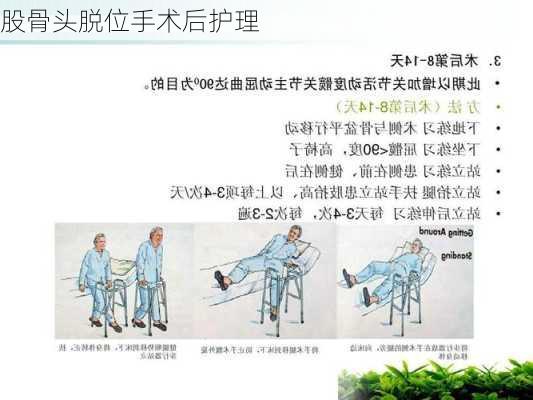 股骨头脱位手术后护理