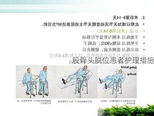 股骨头脱位患者护理措施