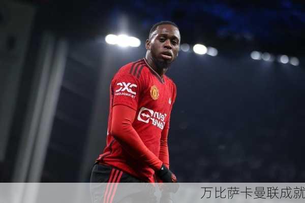 万比萨卡曼联成就