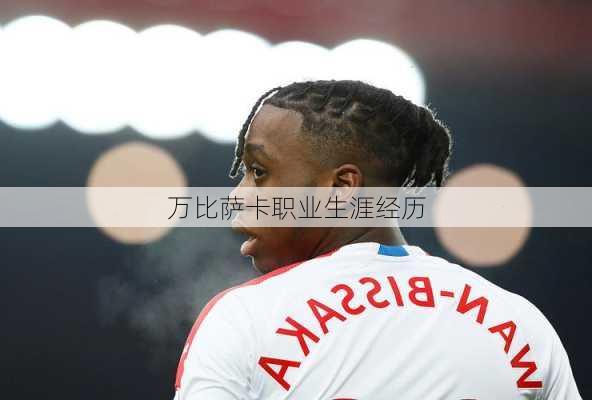 万比萨卡职业生涯经历