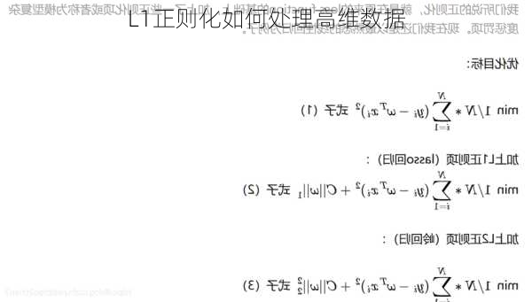 L1正则化如何处理高维数据