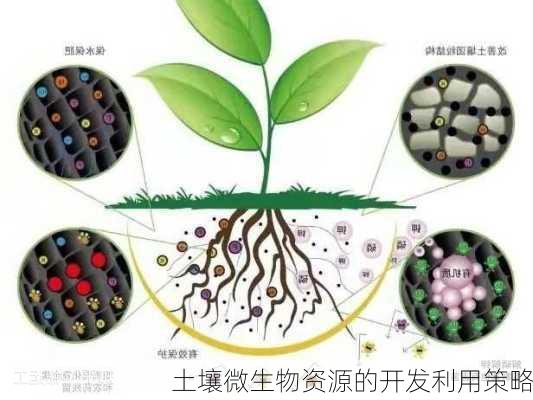 土壤微生物资源的开发利用策略
