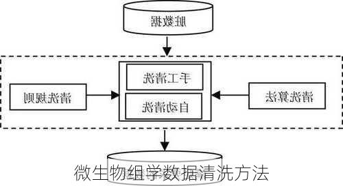 微生物组学数据清洗方法