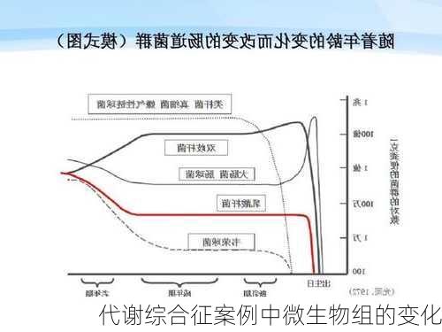 代谢综合征案例中微生物组的变化