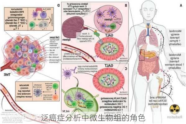 泛癌症分析中微生物组的角色