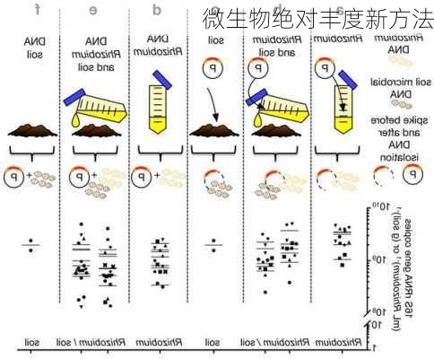 微生物绝对丰度新方法