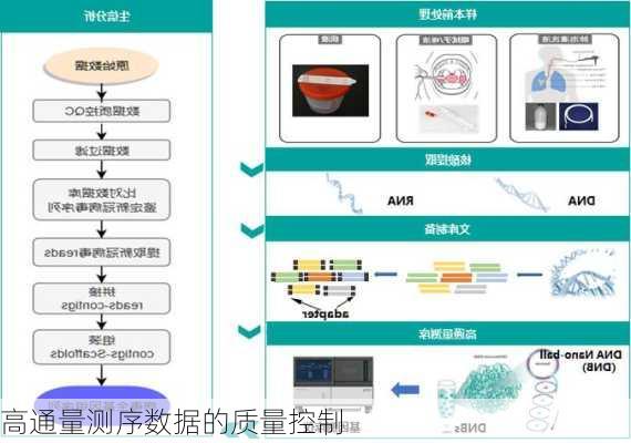 高通量测序数据的质量控制