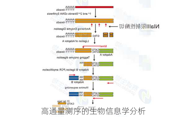 高通量测序的生物信息学分析