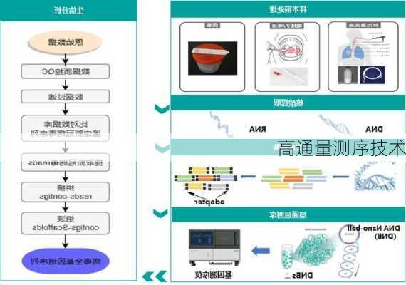 高通量测序技术