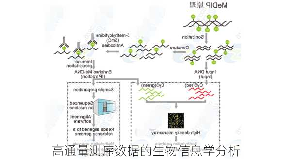 高通量测序数据的生物信息学分析