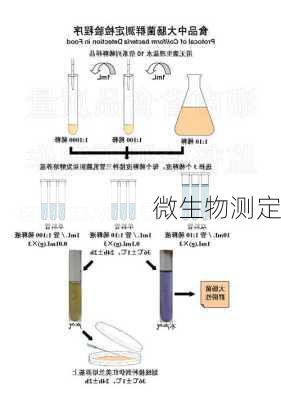 微生物测定