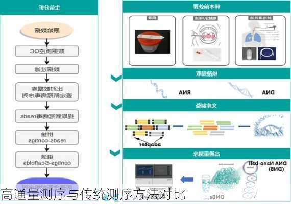 高通量测序与传统测序方法对比