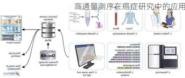 高通量测序在癌症研究中的应用