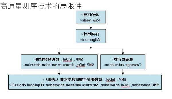 高通量测序技术的局限性