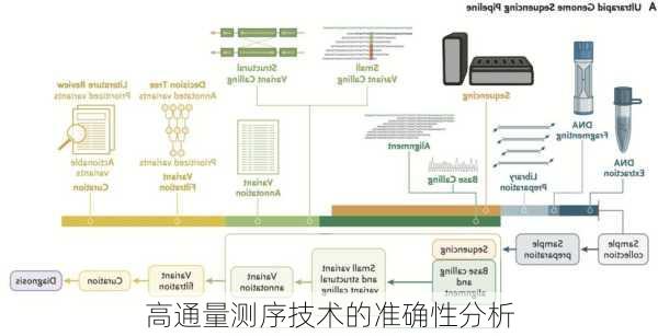 高通量测序技术的准确性分析