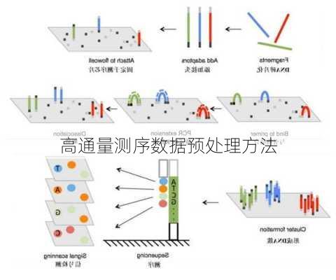 高通量测序数据预处理方法