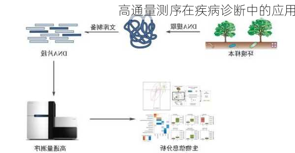 高通量测序在疾病诊断中的应用
