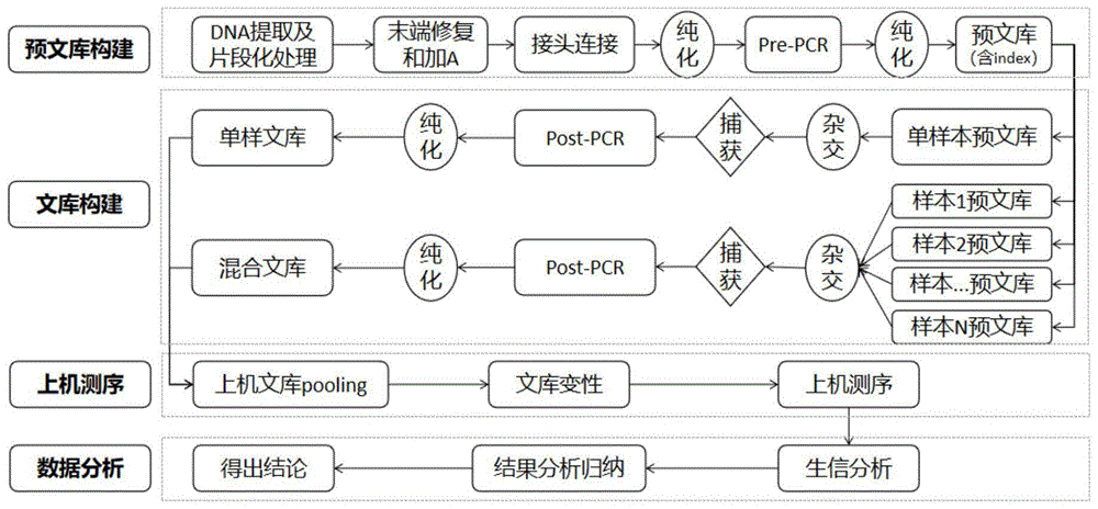 高通量测序文库构建的步骤