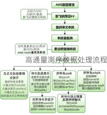 高通量测序数据处理流程