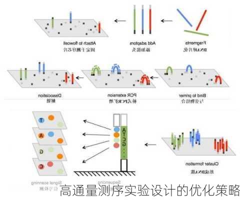 高通量测序实验设计的优化策略