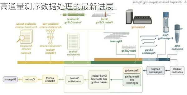 高通量测序数据处理的最新进展