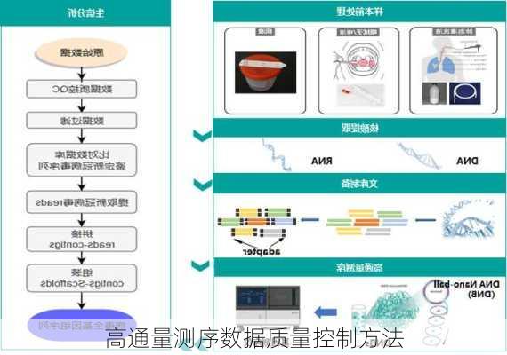 高通量测序数据质量控制方法
