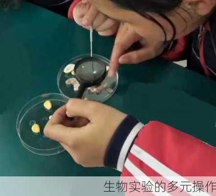 生物实验的多元操作