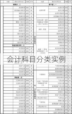 会计科目分类实例