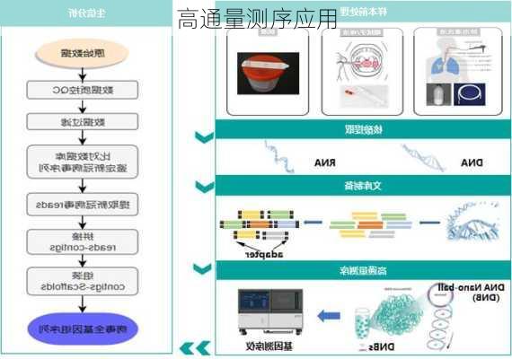 高通量测序应用