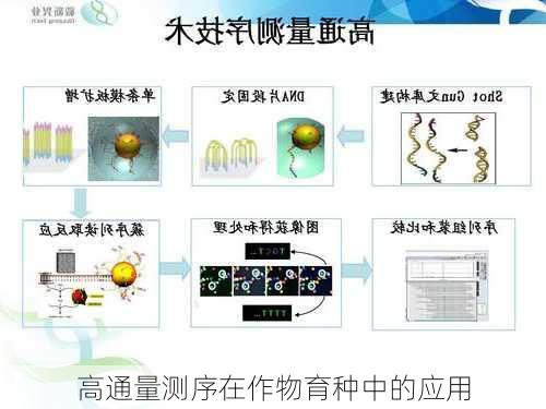 高通量测序在作物育种中的应用
