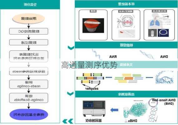 高通量测序优势