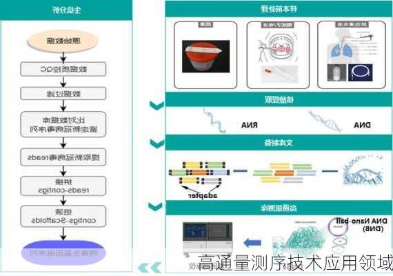 高通量测序技术应用领域