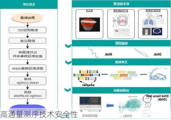 高通量测序技术安全性