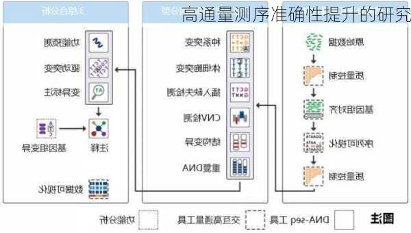 高通量测序准确性提升的研究