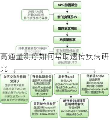 高通量测序如何帮助遗传疾病研究