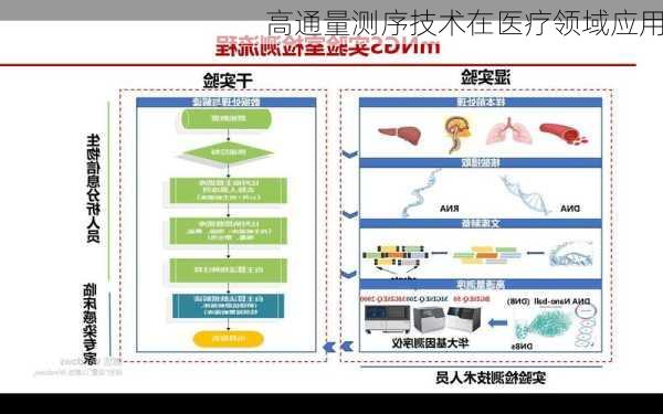 高通量测序技术在医疗领域应用