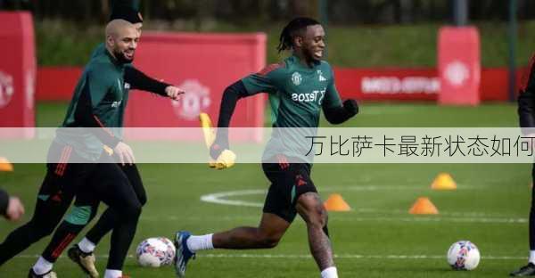 万比萨卡最新状态如何