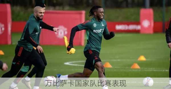 万比萨卡国家队比赛表现