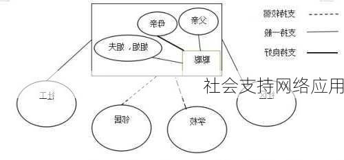 社会支持网络应用