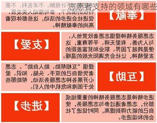 志愿者支持的领域有哪些