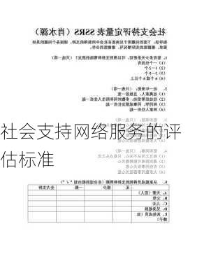 社会支持网络服务的评估标准