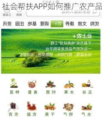 社会帮扶APP如何推广农产品