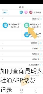 如何查询昆明人社通APP缴费记录