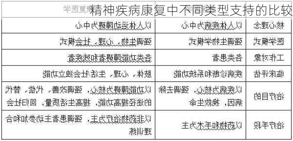 精神疾病康复中不同类型支持的比较