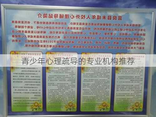 青少年心理疏导的专业机构推荐