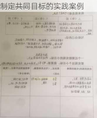 制定共同目标的实践案例