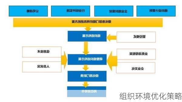 组织环境优化策略
